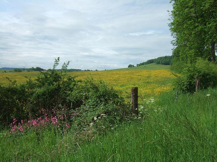 2008-05- (375).JPG - Im Tal der Schwalben: "Les Hirondelles"